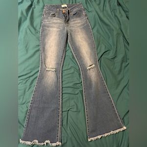 YMI Flare Jeans